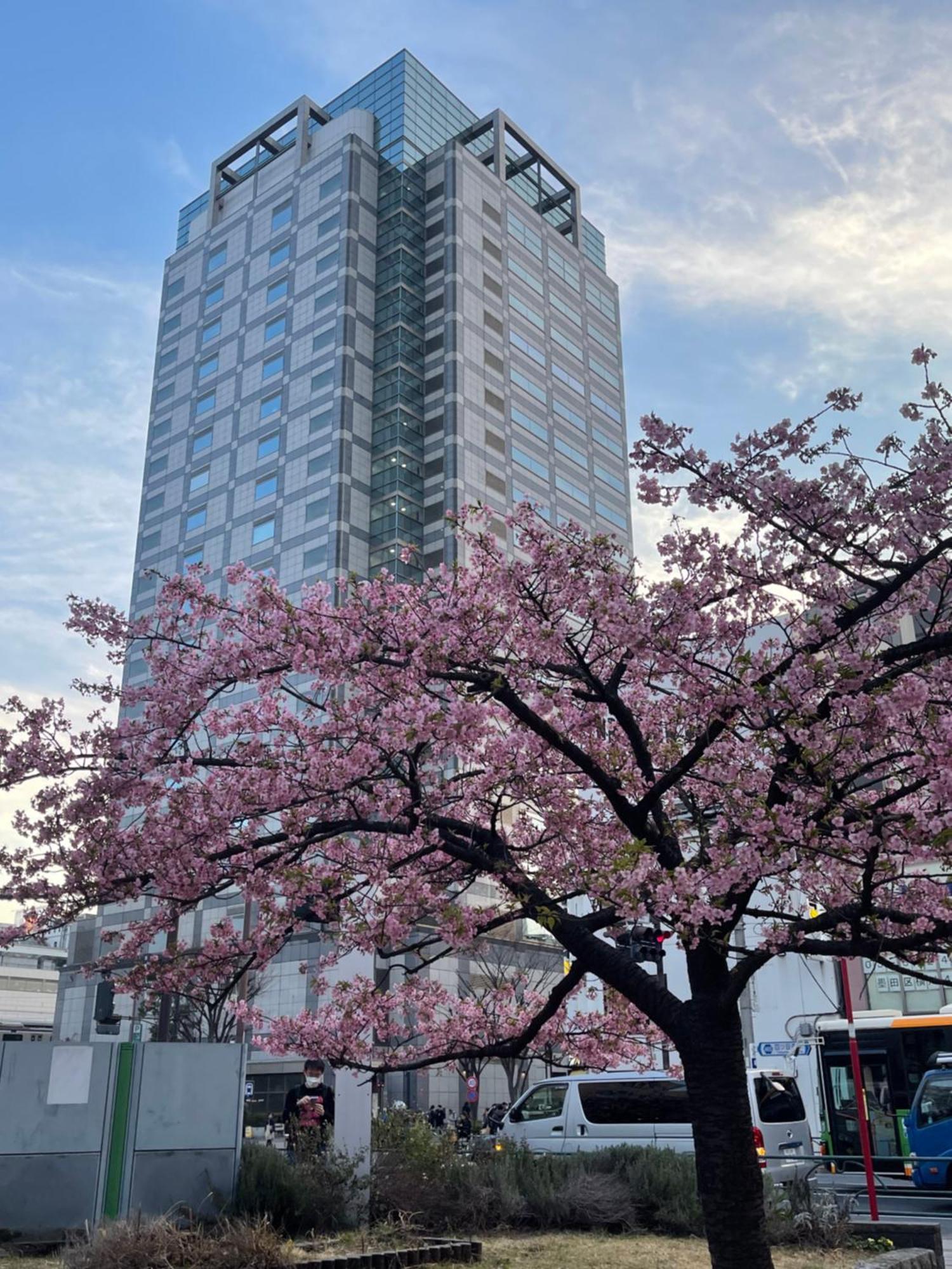 Skytree View Premier Hotel-kinshicho * Tokyo
