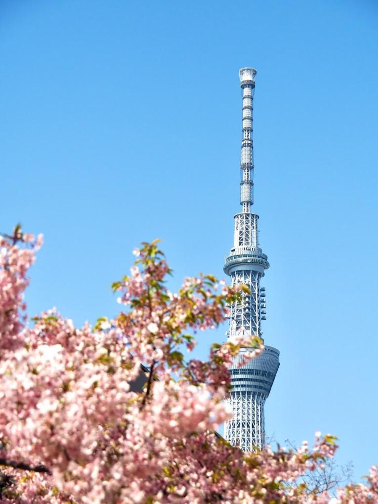 Skytree View Premier Hotel-kinshicho *